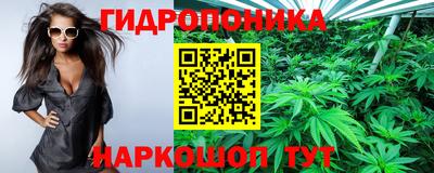 таблы Гусев