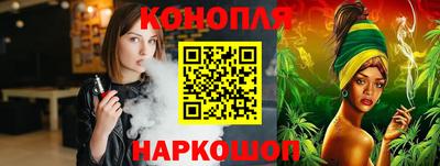 шишки Можга