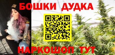 гидропоника Гусь-Хрустальный