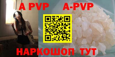 таблы Гусев