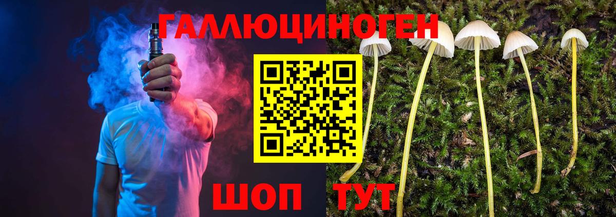 Галлюциногенные грибы GOLDEN TEACHER  Вход с VPN  цена наркотик  Стрежевой  Галлюциногенные грибы мухоморы 
