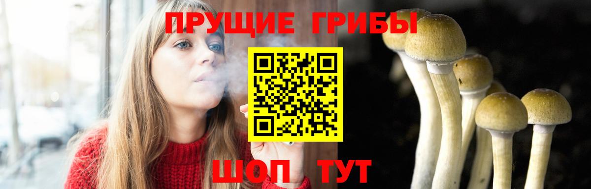 Галлюциногенные грибы Psilocybine cubensis Стрежевой